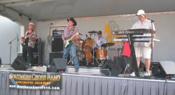 Taste of Peoria 2003